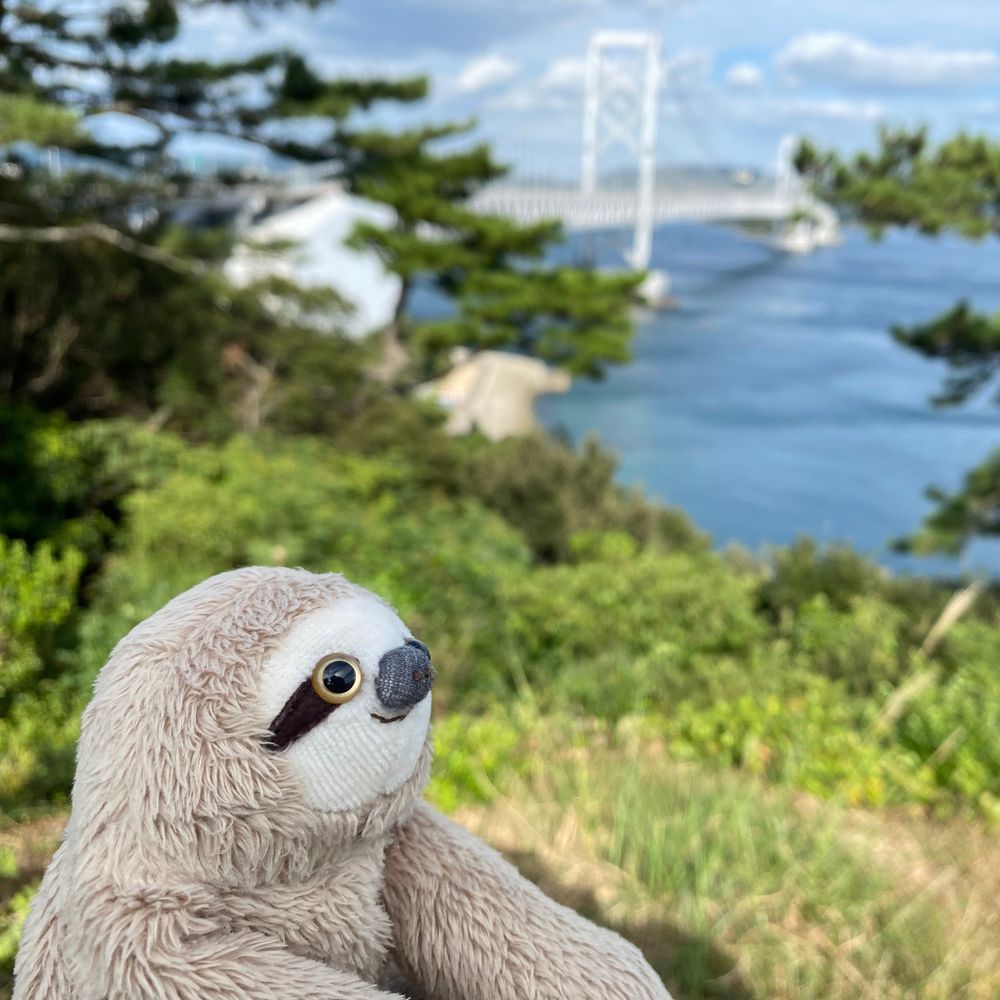 ごむのき