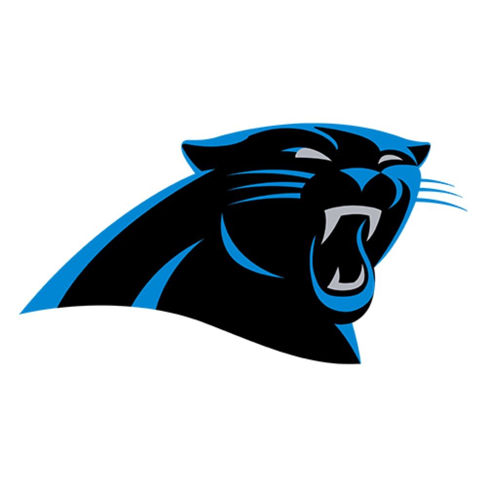 Carolina Panthers Fan