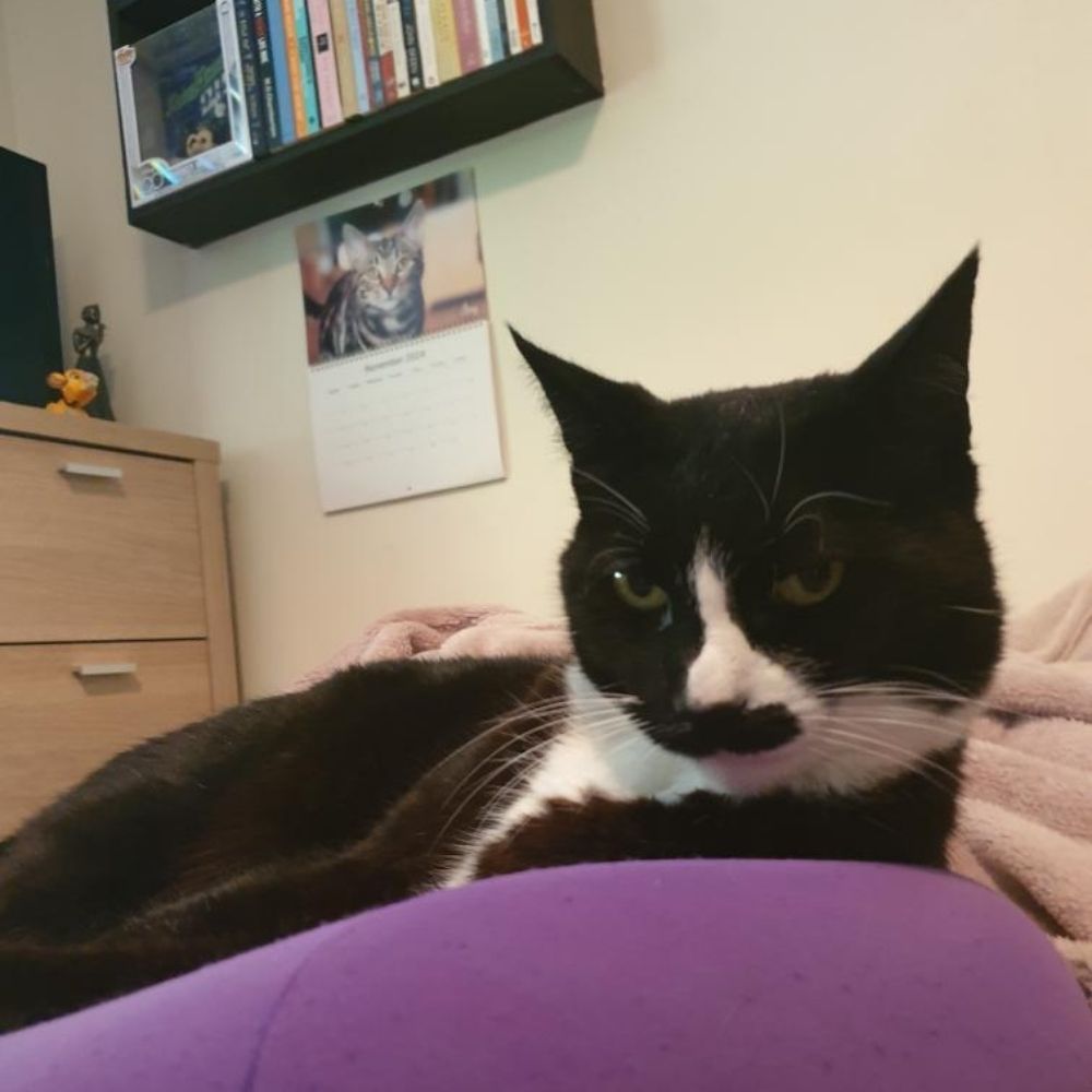 Profile picture kitler182.bsky.social