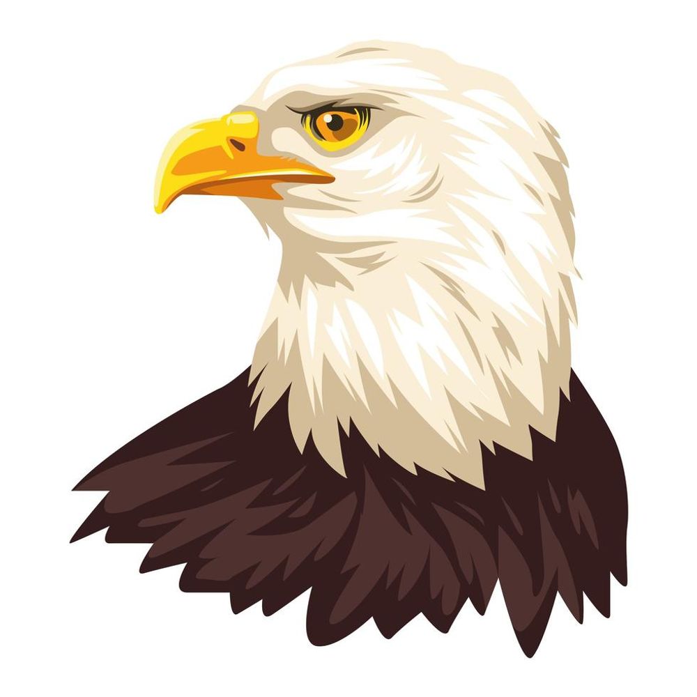 Le président des oiseaux 