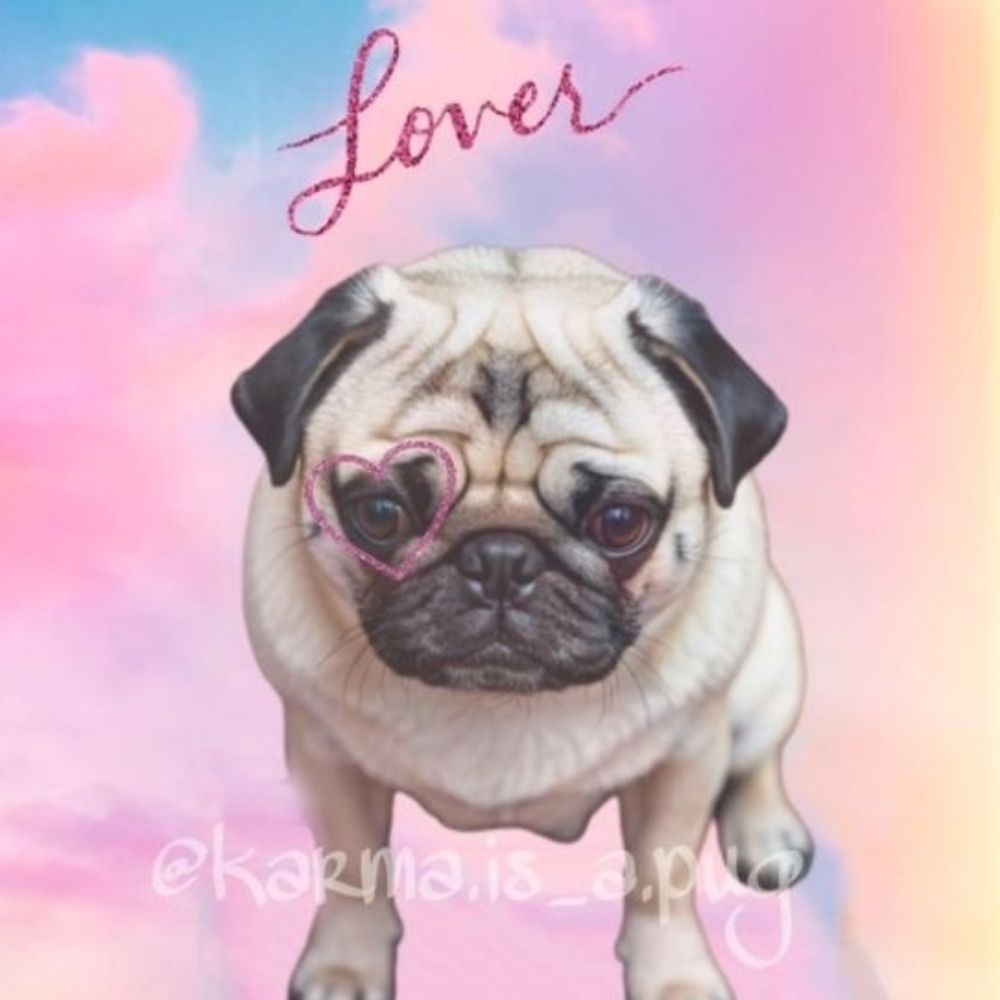 Karma Is a Pug 