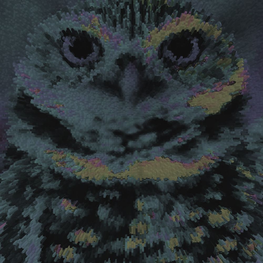 The Owlripper