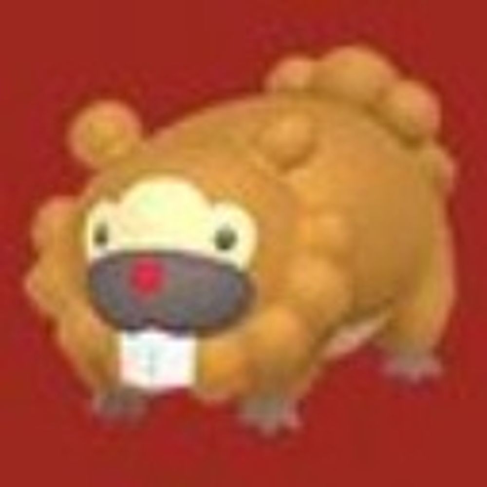 Dr Bidoof Rph 