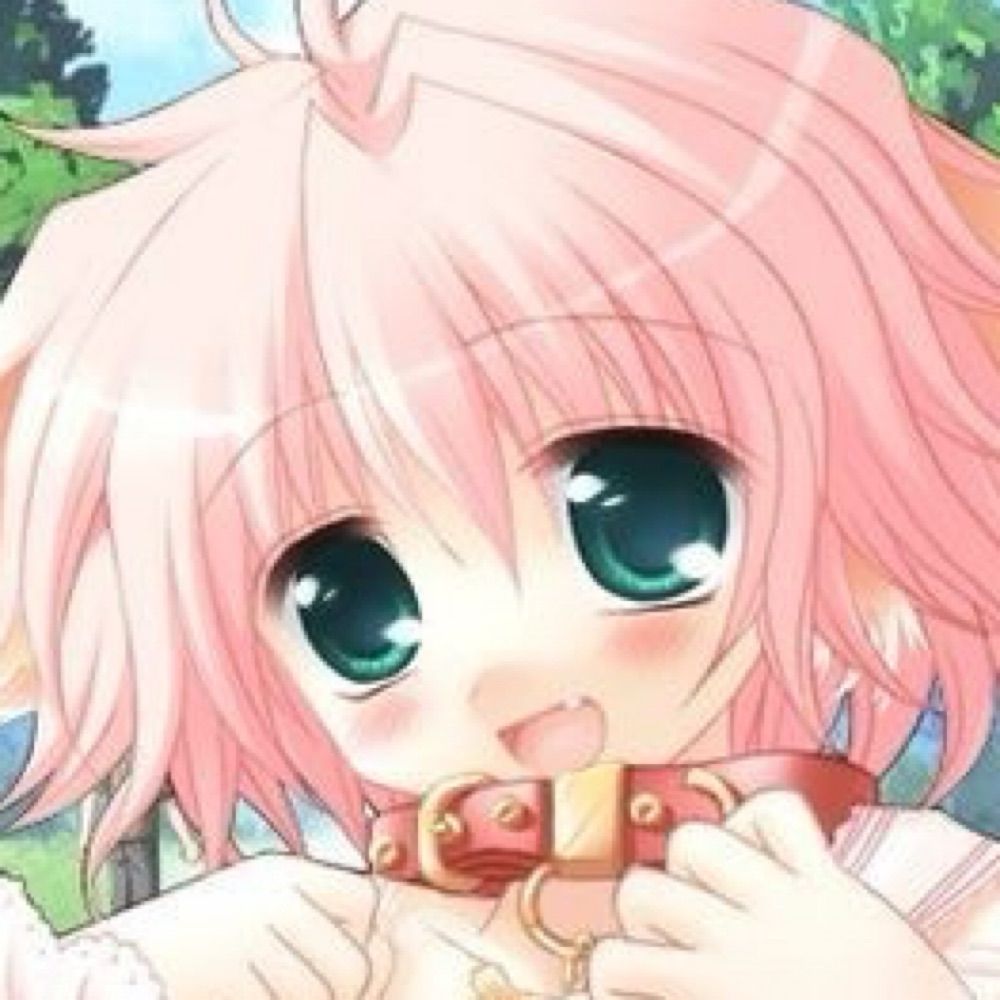 Nokch☆