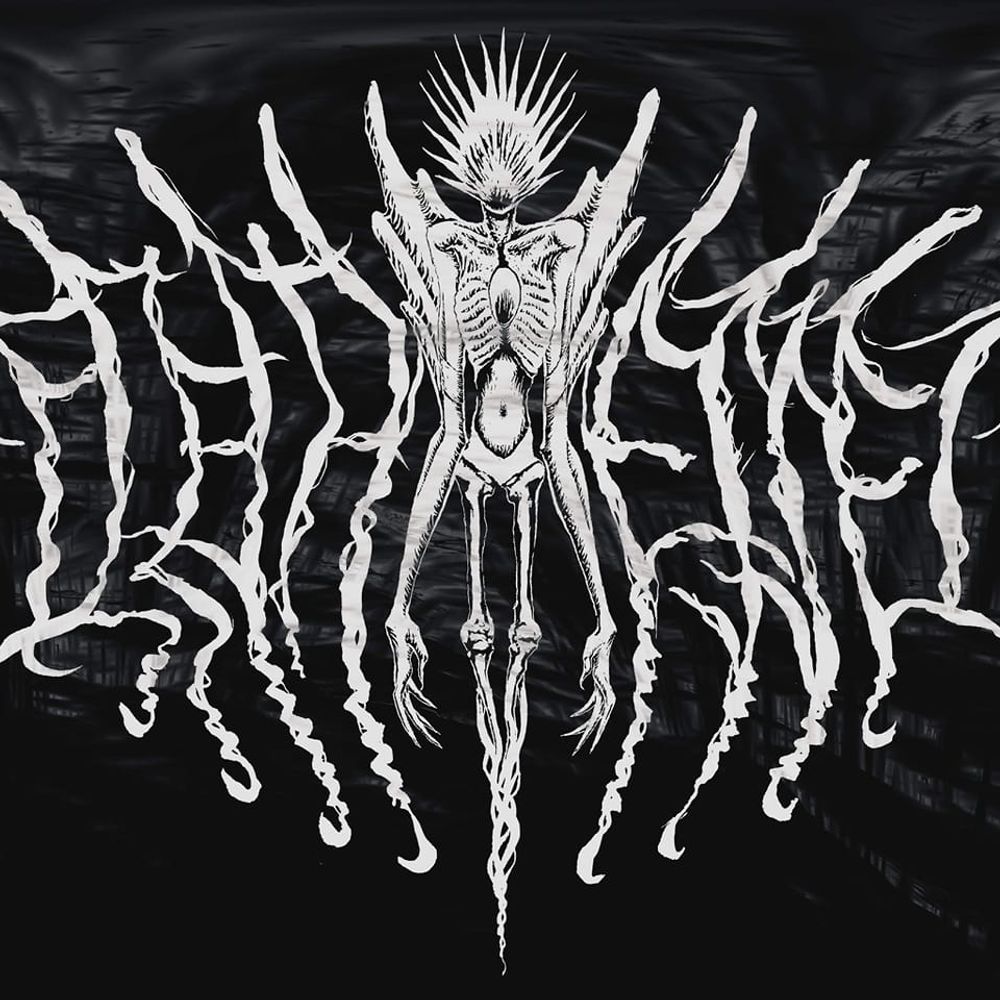 Fleshvessel