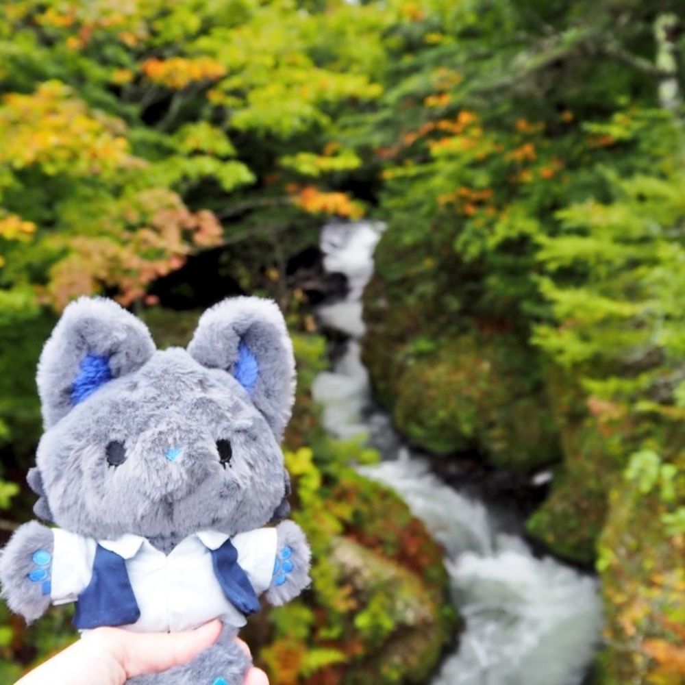 ふじ