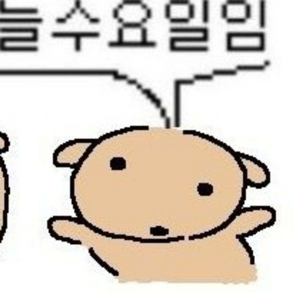 강남키즈공애호가