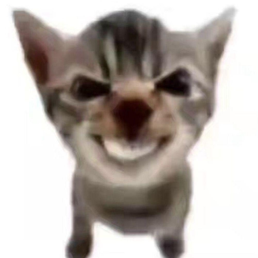 ste 
