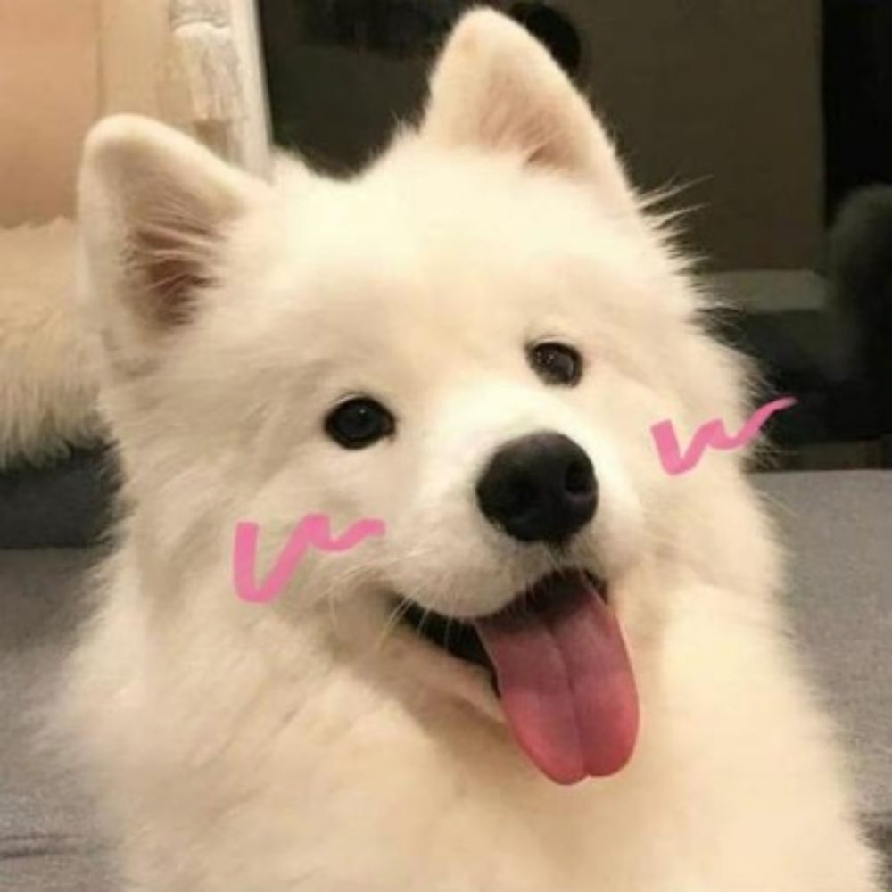 小简不气