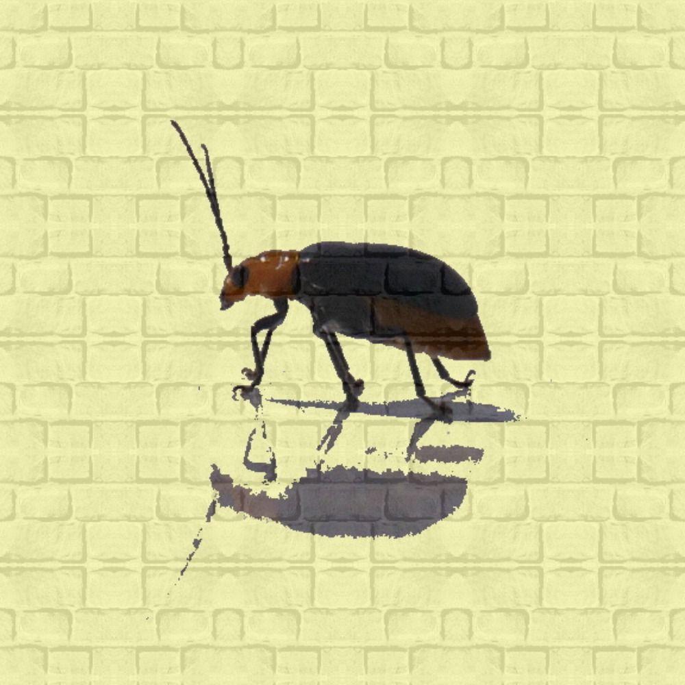 motsukun