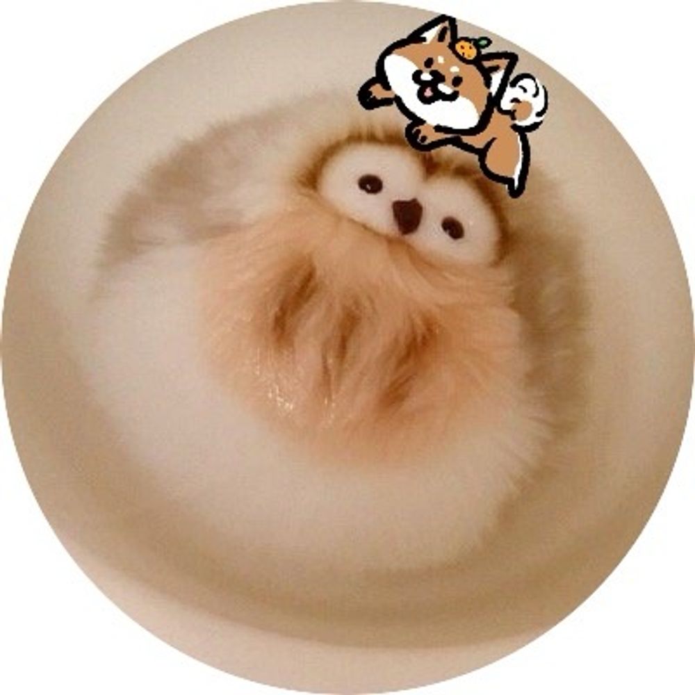 もこ
