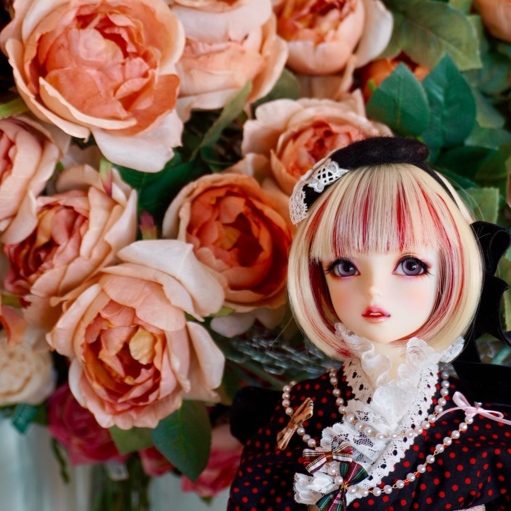 菜(さい)