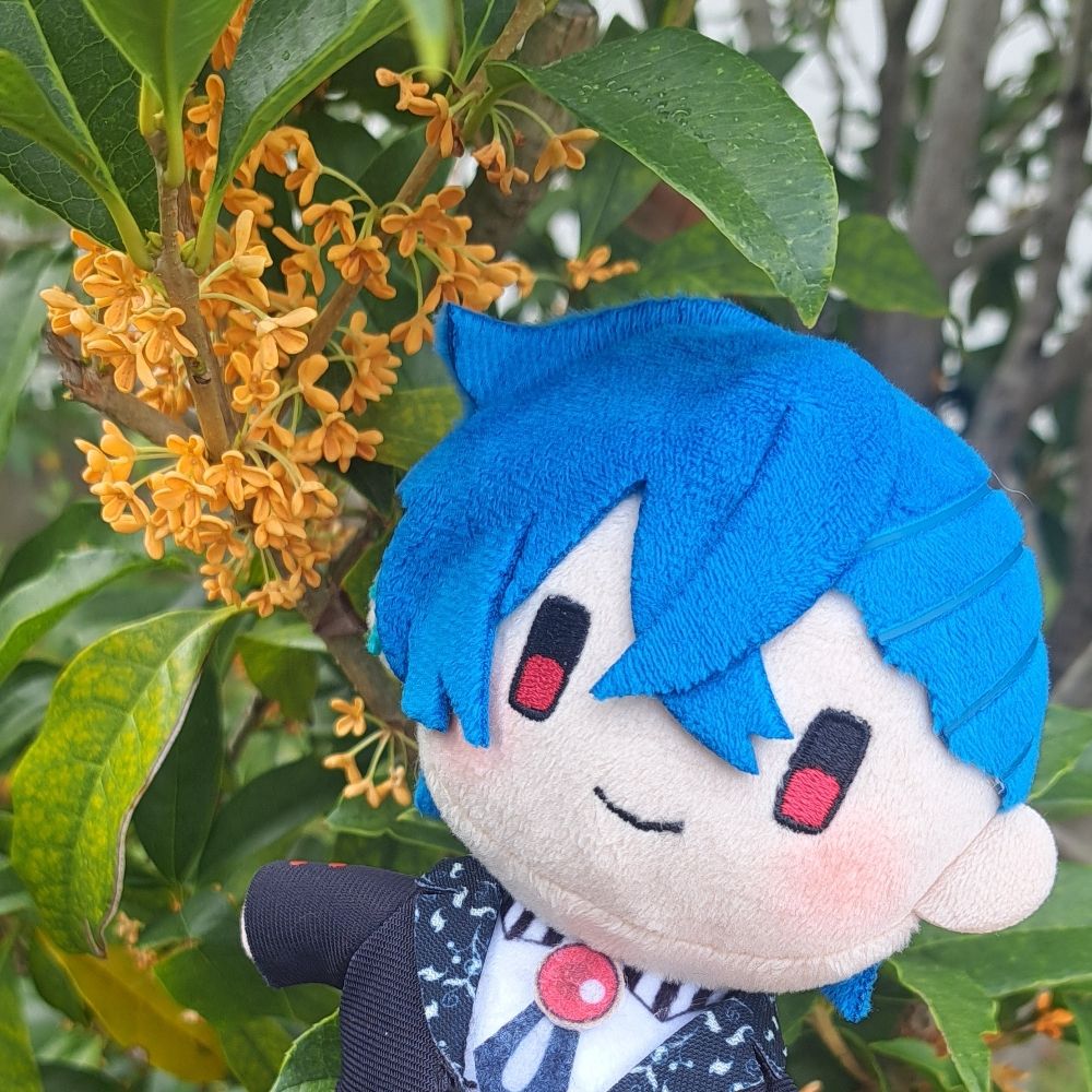 すい🐬