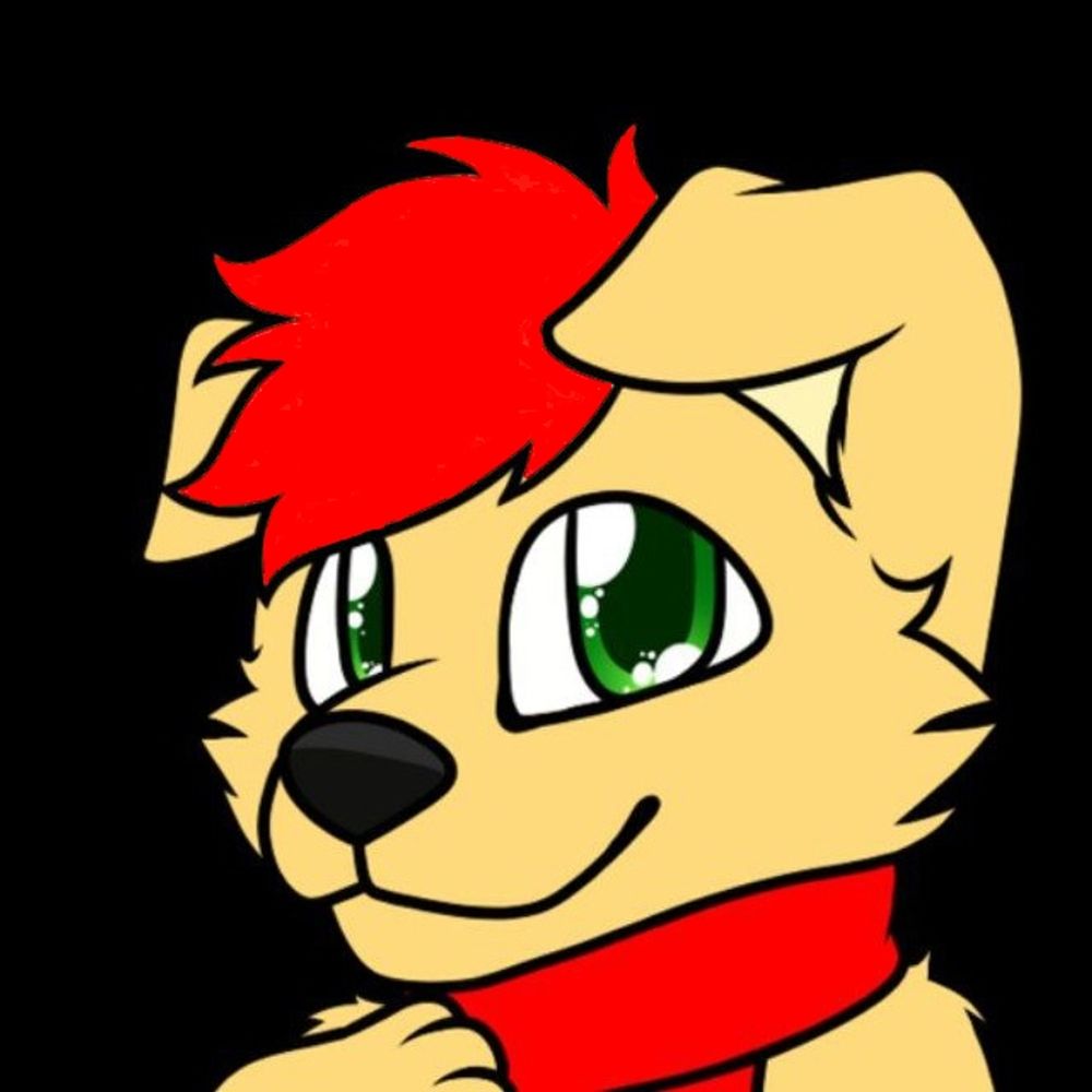 Cody the puppy