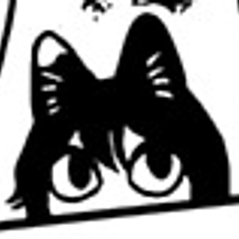 Stray catgirl