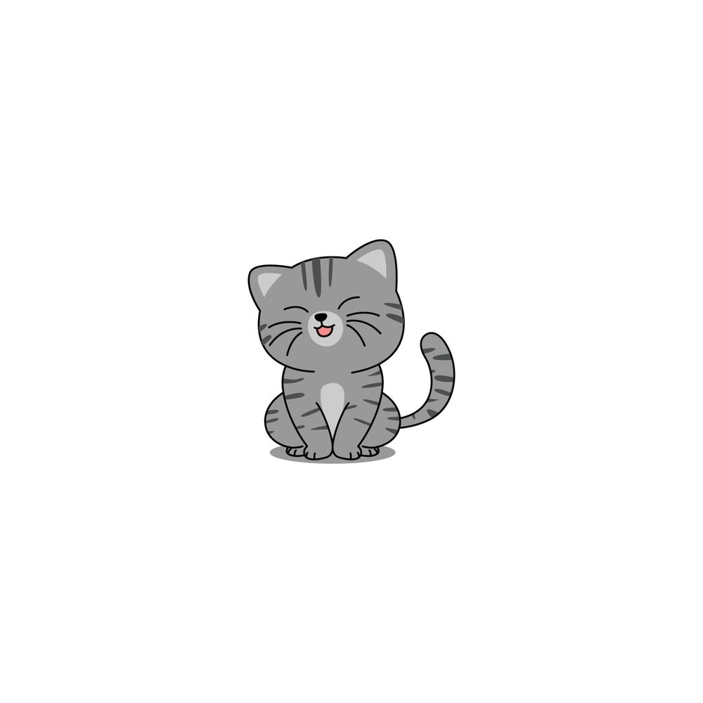 COWBOY KITTY