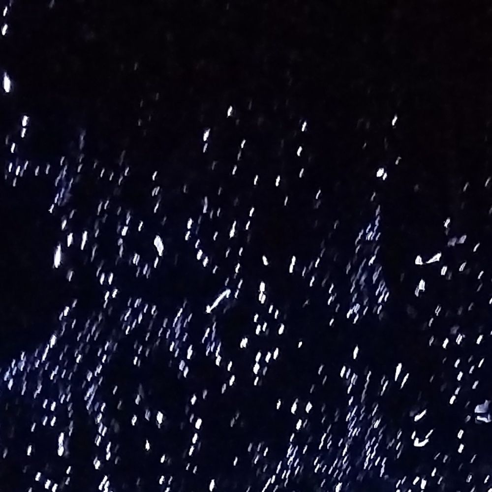 산토끼