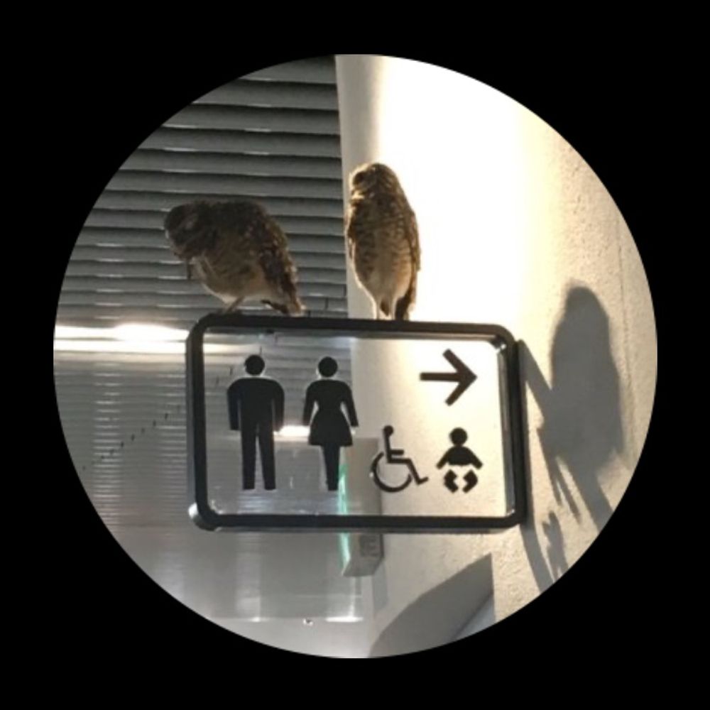 さささ