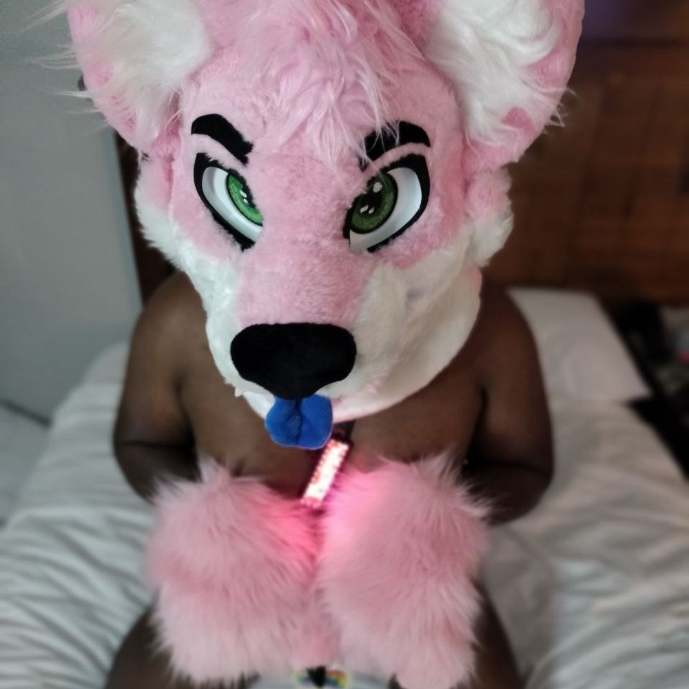 Ianto 🔜 AnthrOhio