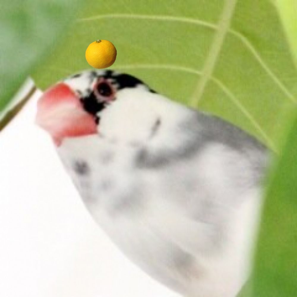 クイちゃん🛺