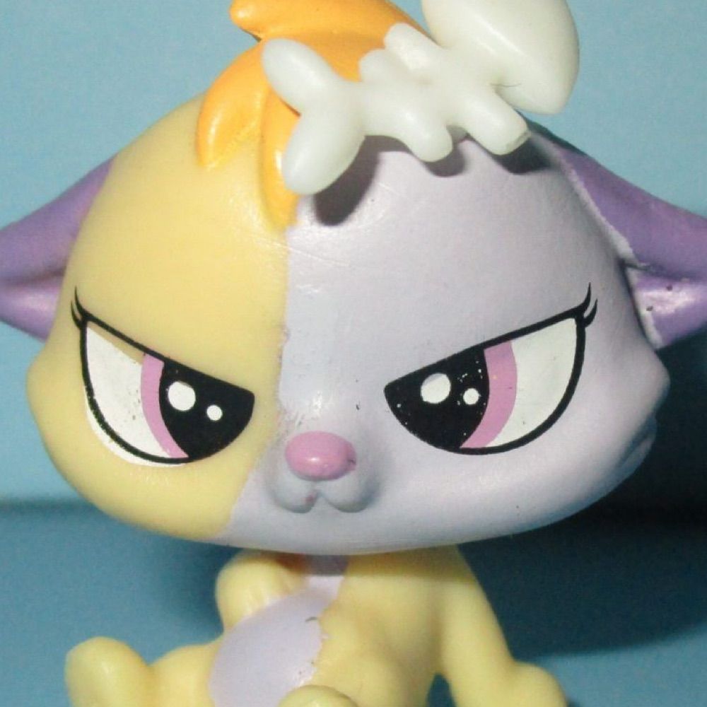 JesterTailz