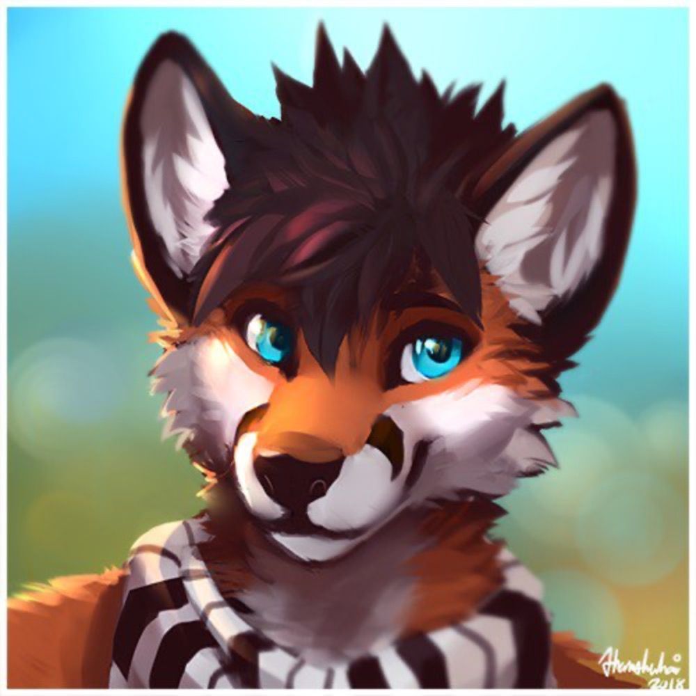 Fox Amoore's avatar