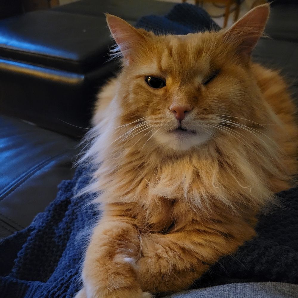 Jacob Eleazer