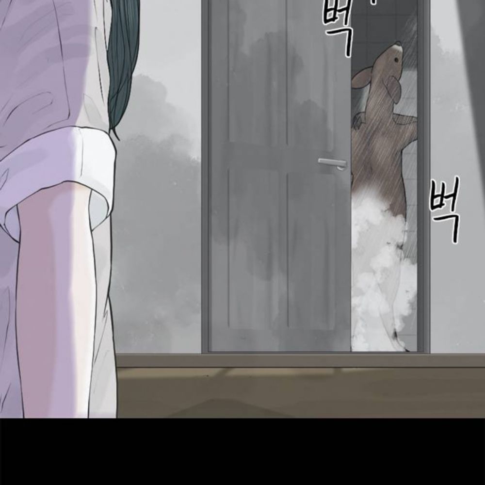 자라