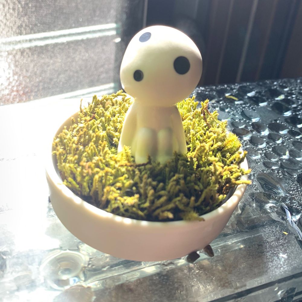 けい