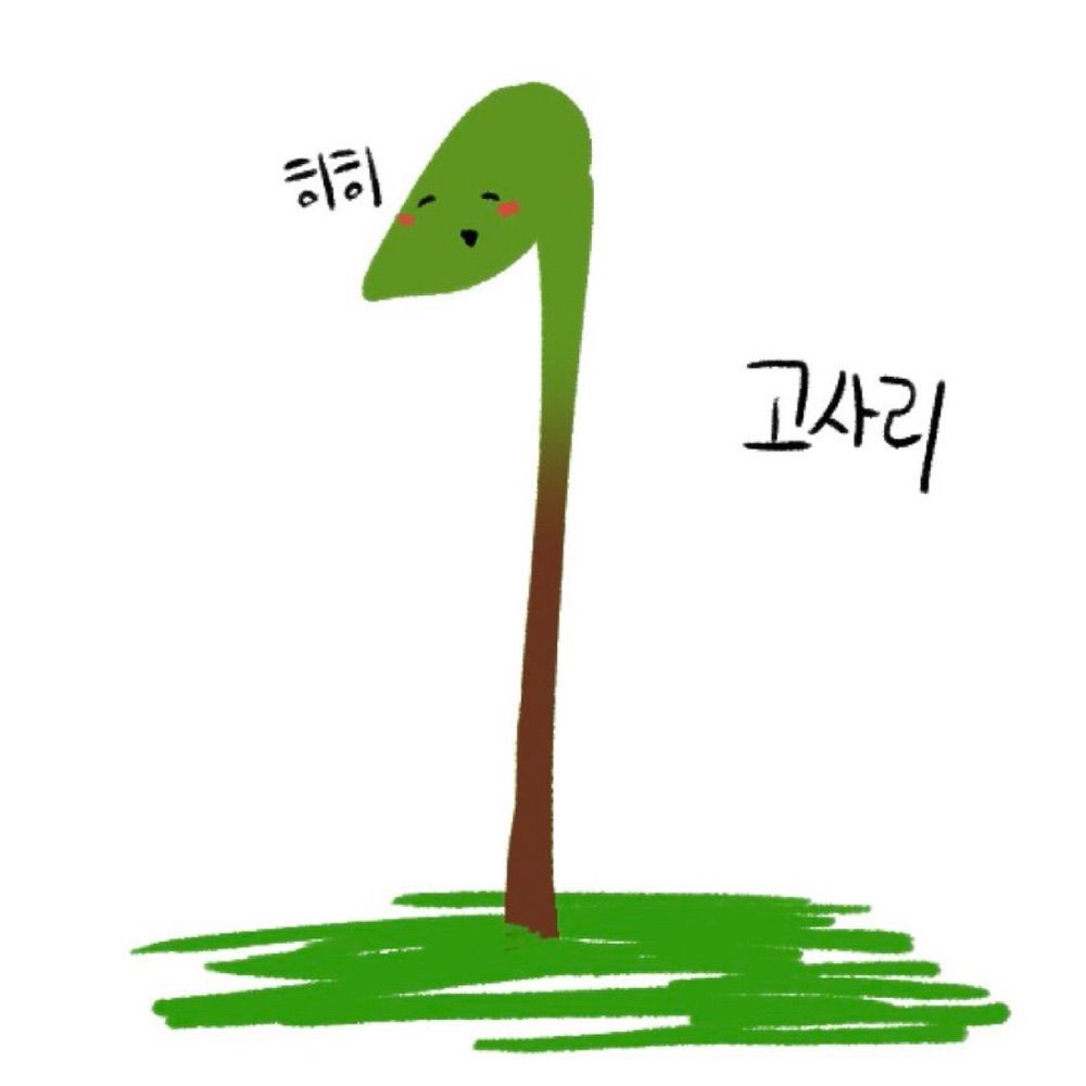 고사리