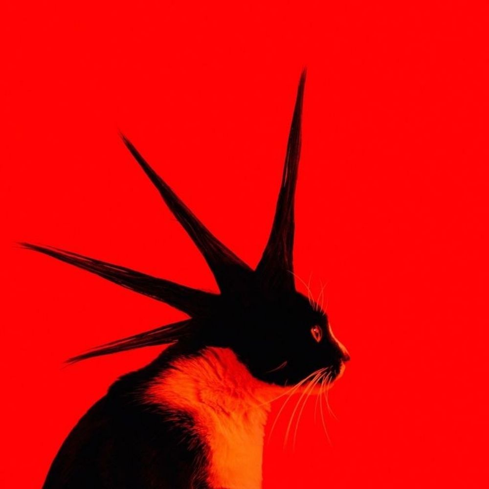 𝑬́ 𝒖𝒉 𝒎𝒂𝒏𝒐 𝑫𝒆𝒄𝒂