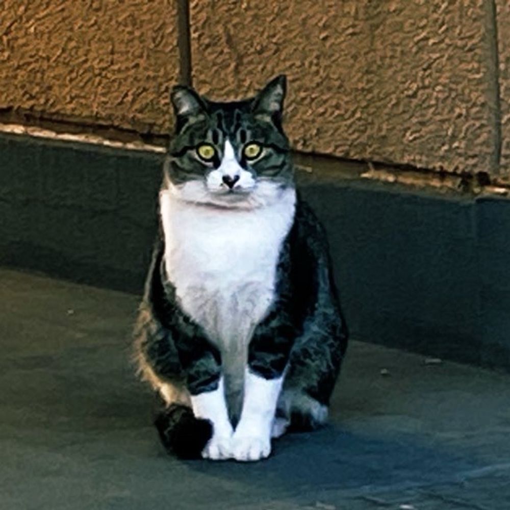 ぽんたぬーん