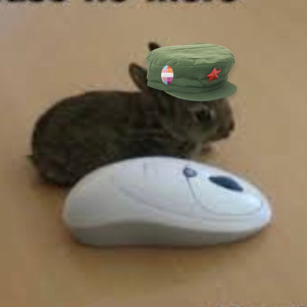🏳️‍⚧️BaristaBunny🐰