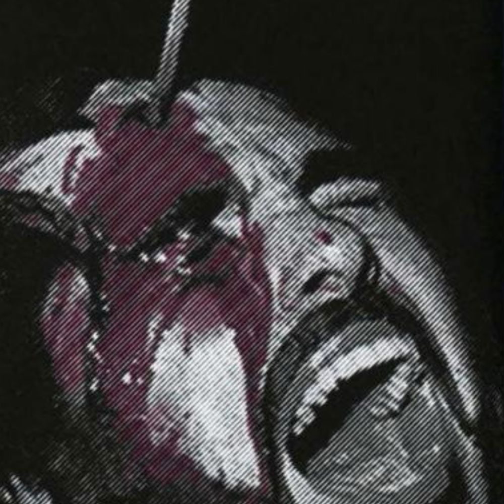 The Psychotronic Grindhouse