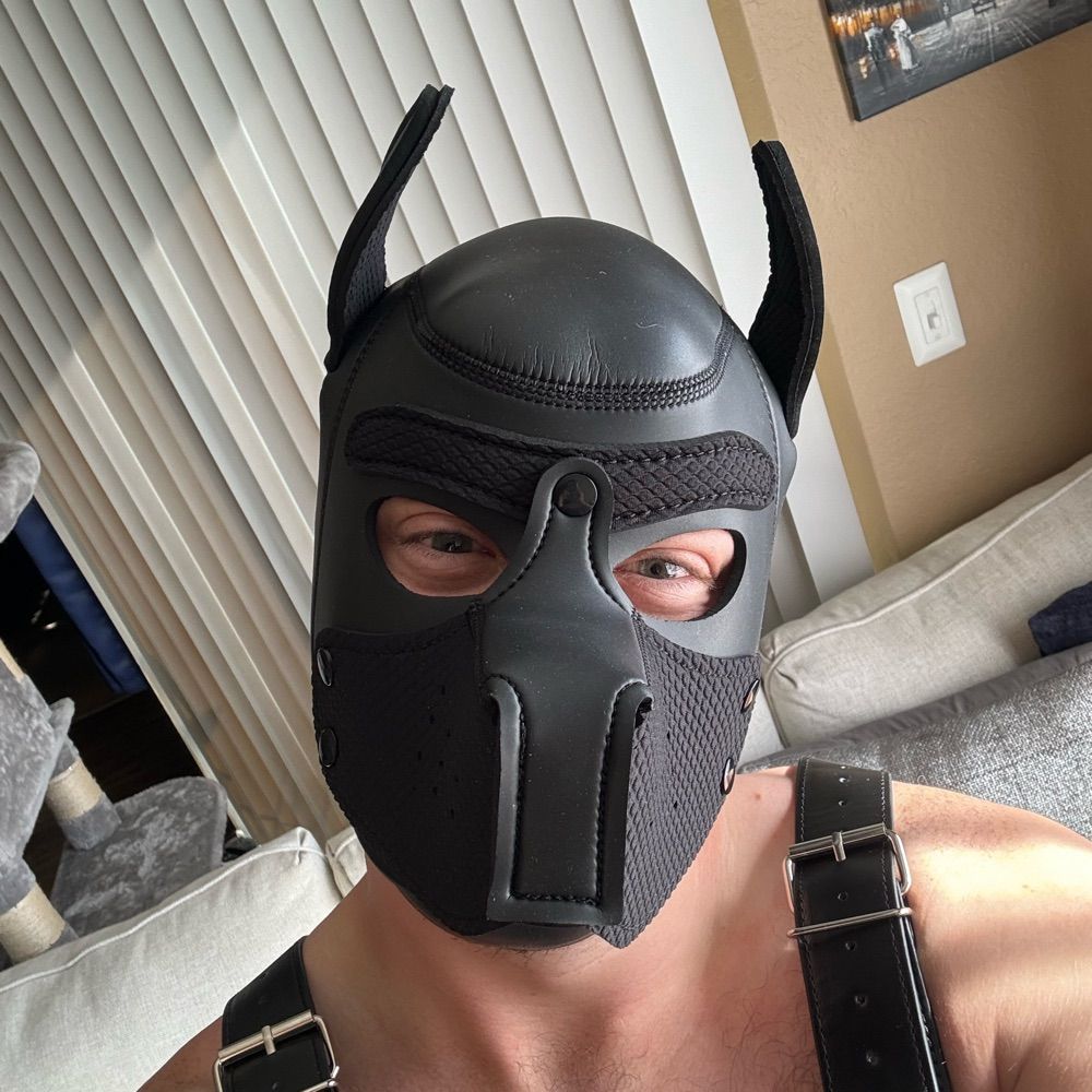 Pup Gabe