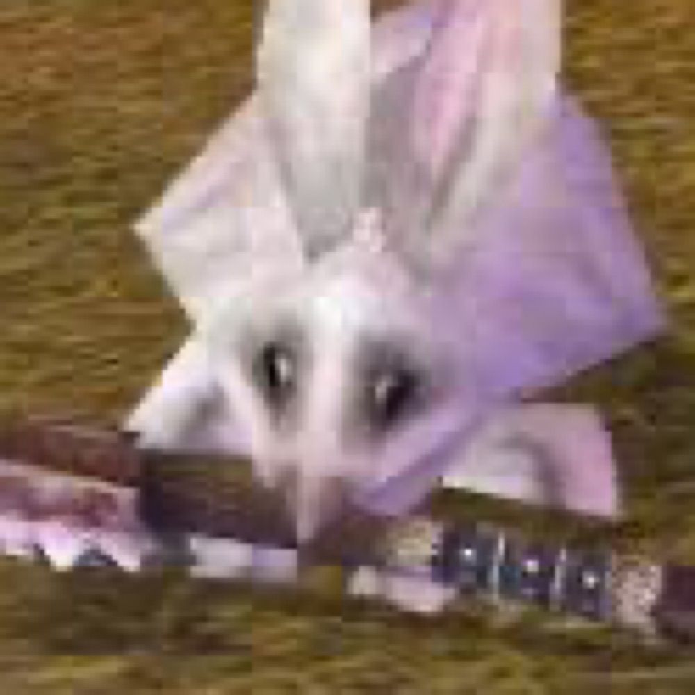 Sam