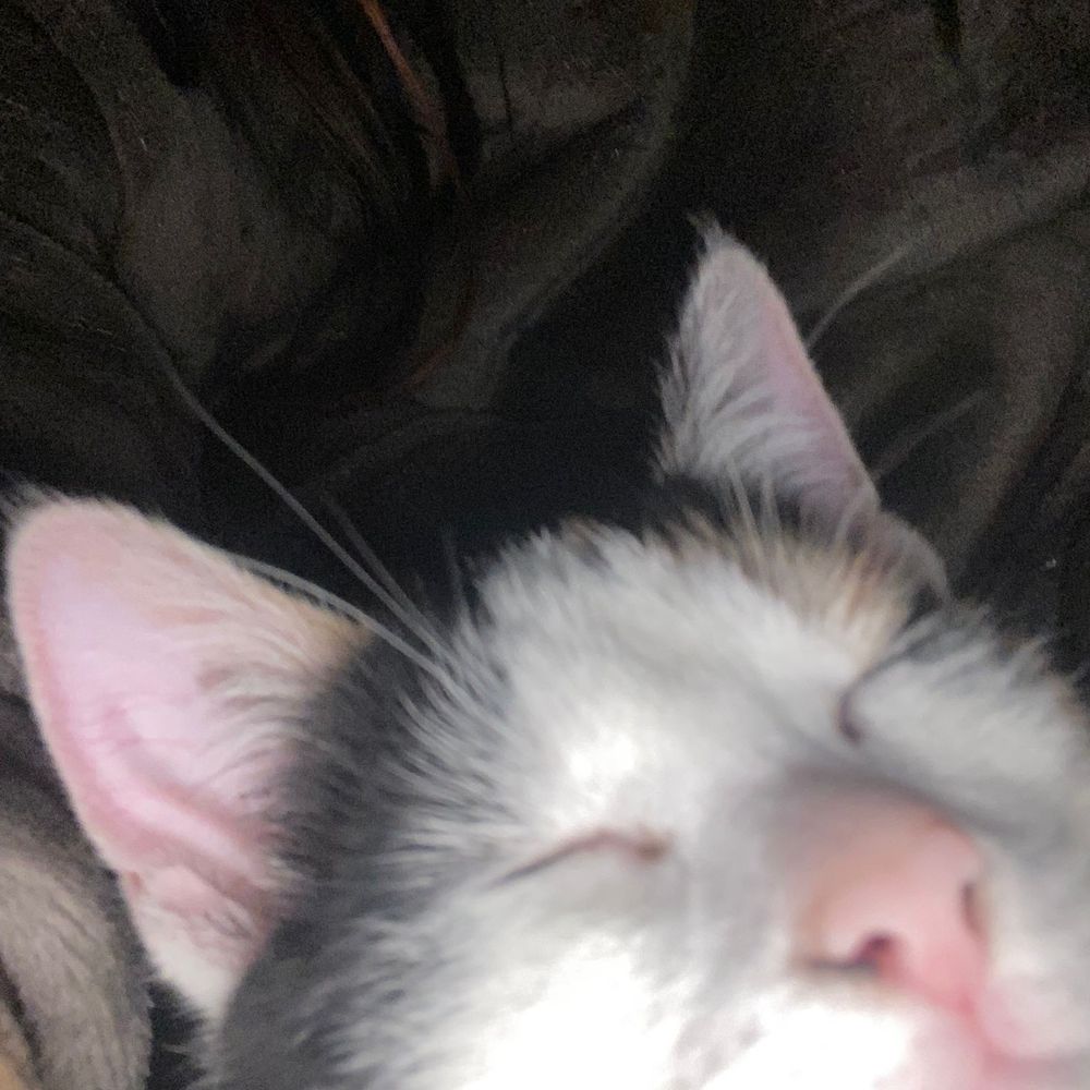 Lucifer
