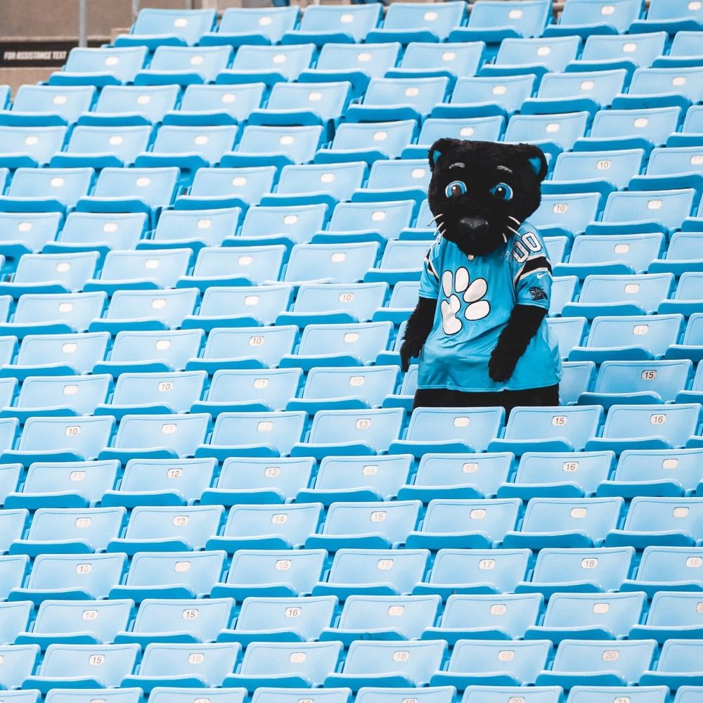 Sir Purr’s Burner