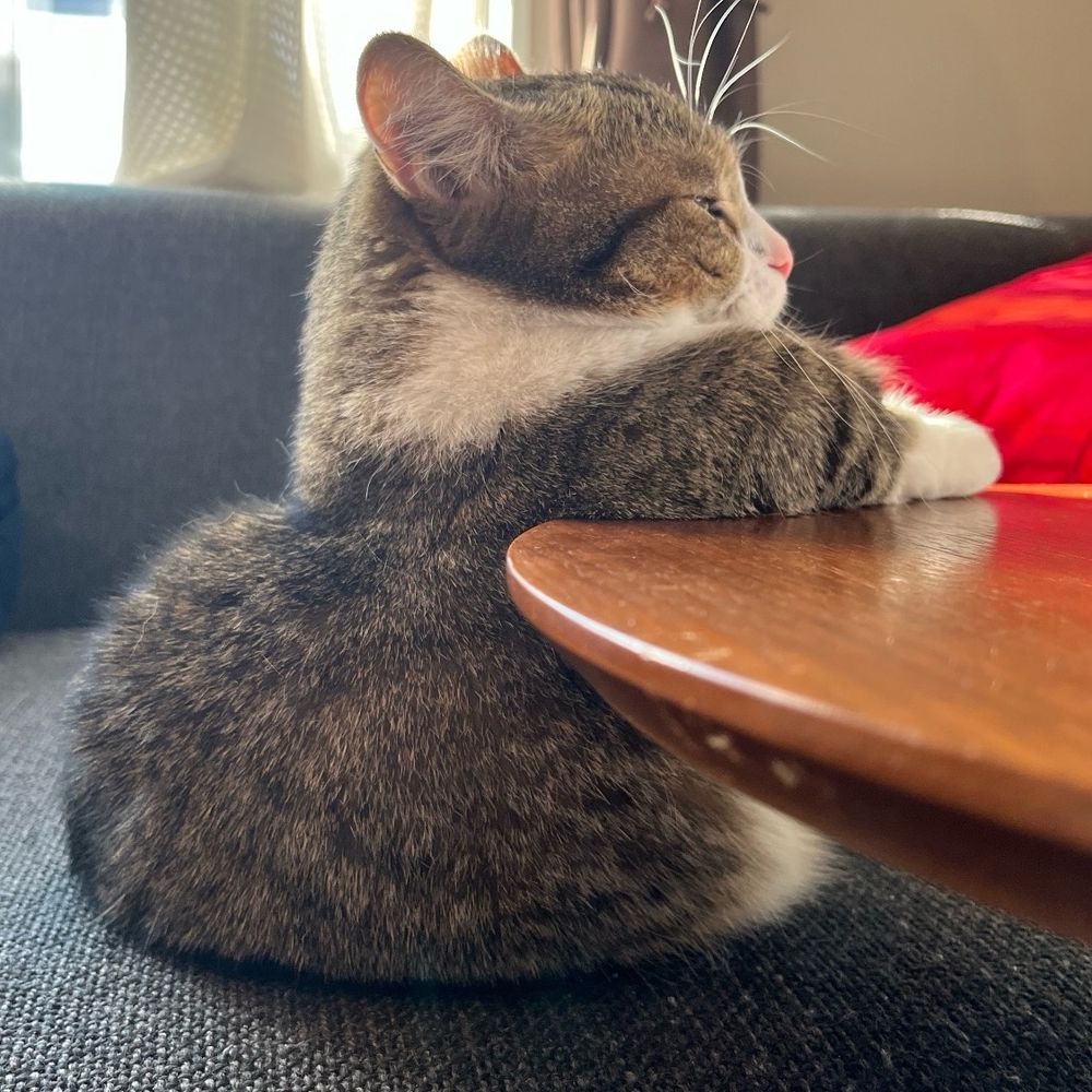 よぐ