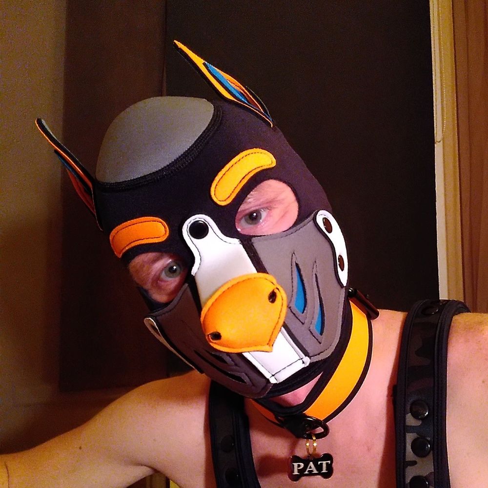 Pup Pat 🔞