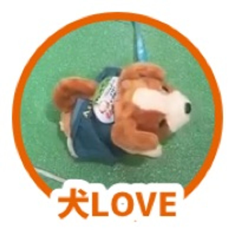 犬🐶LOVE