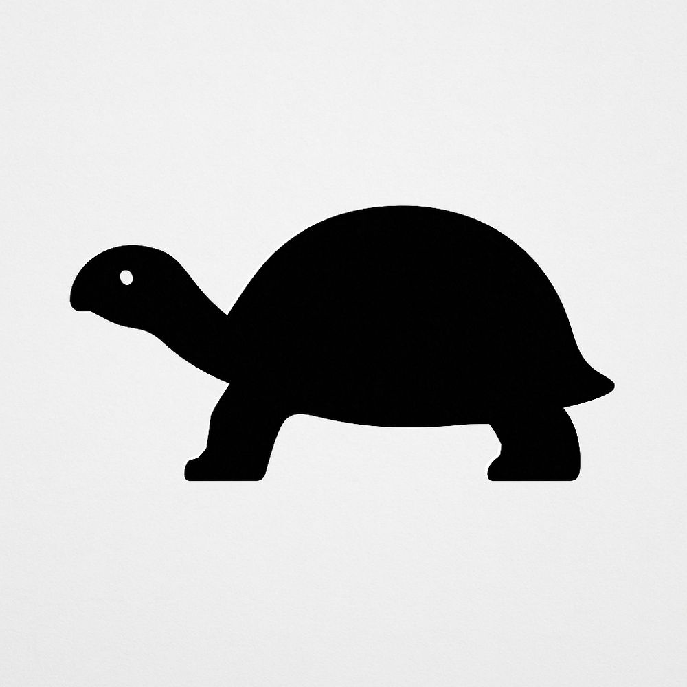 The Tortoise