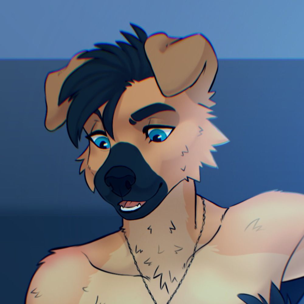 Jakob the Golden Shep!