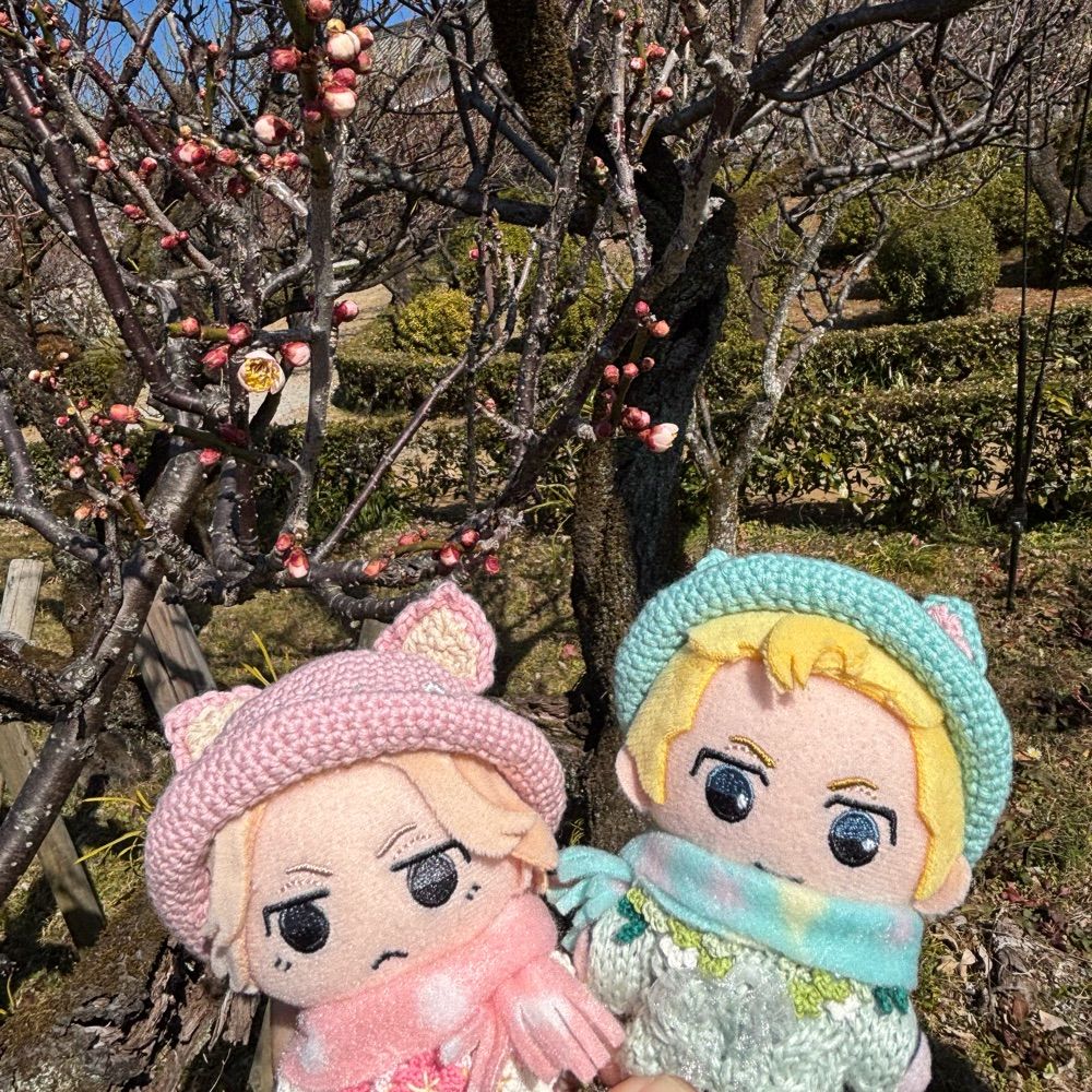 ささの