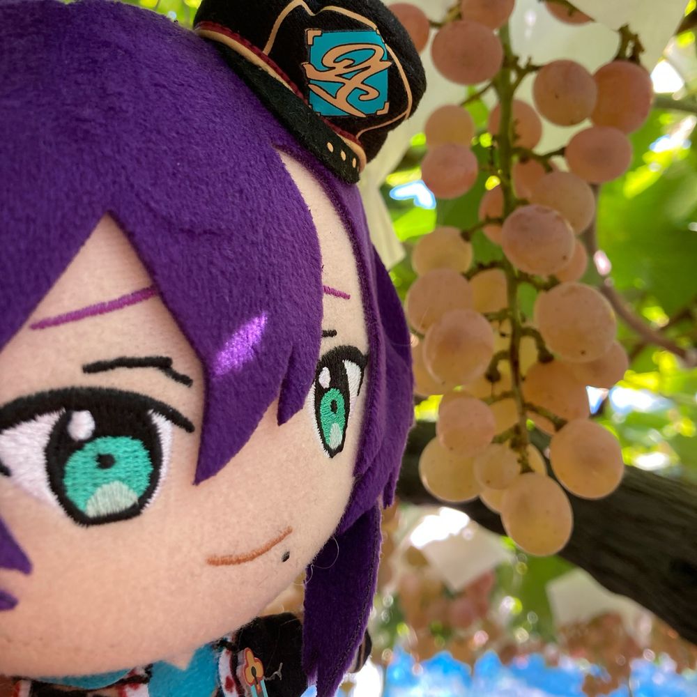 ささかま