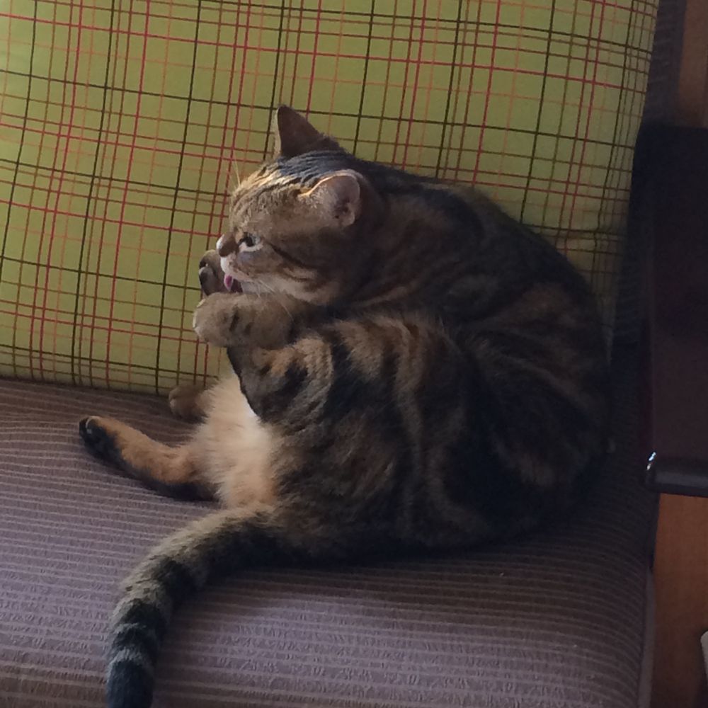 くらざ