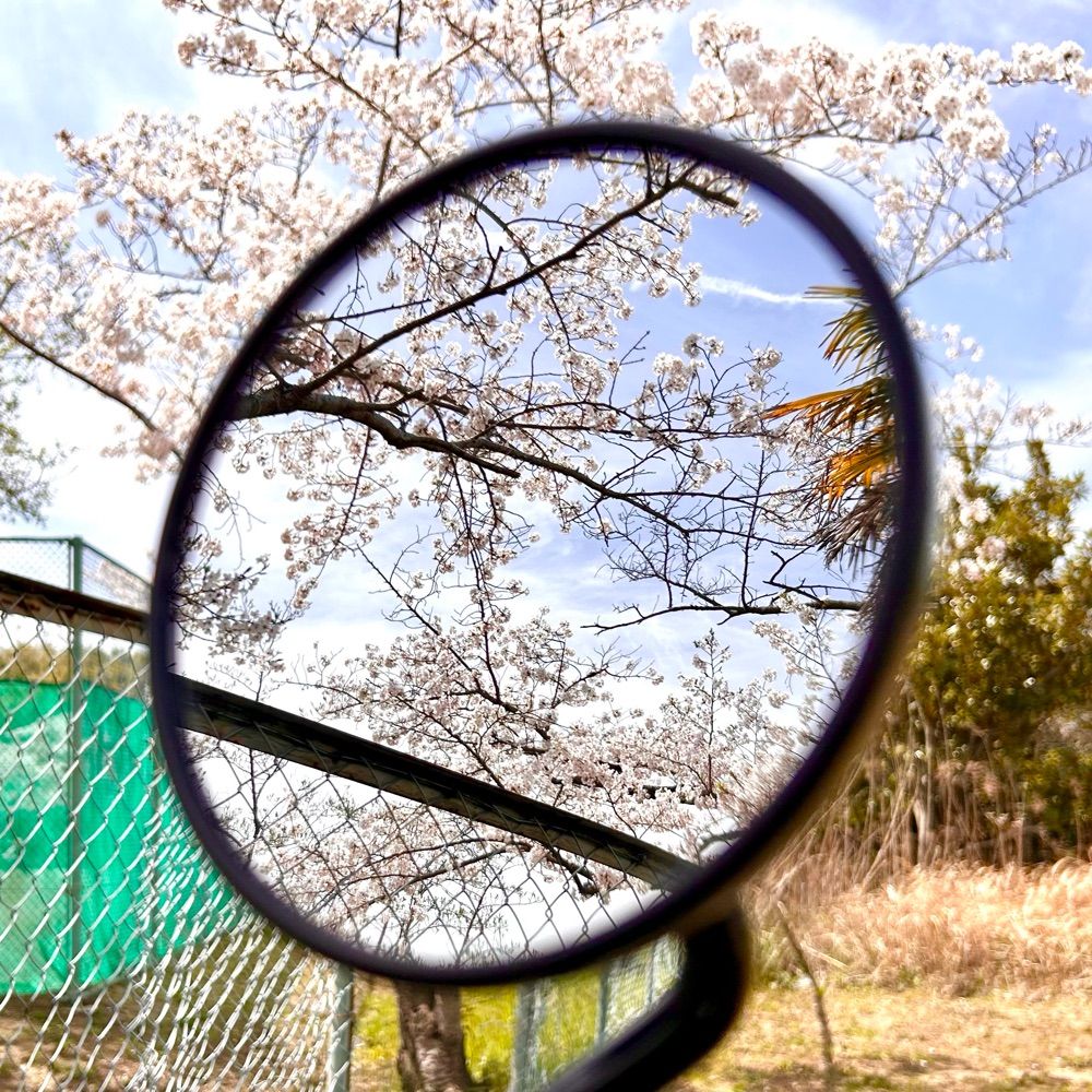 んば