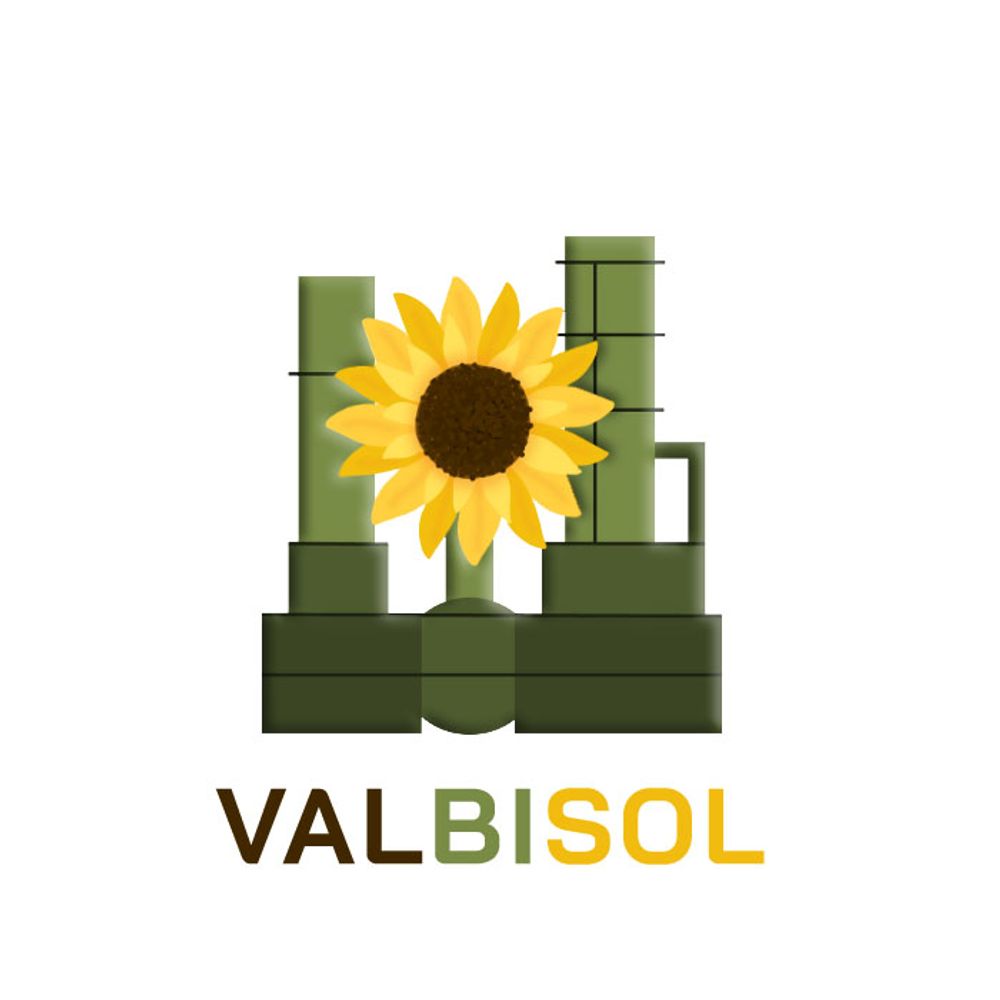 ValBiSol
