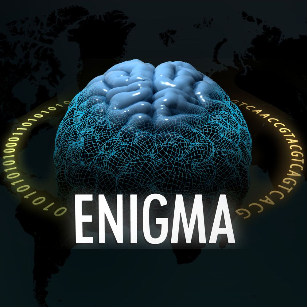 Profile picture enigmabrains.bsky.social