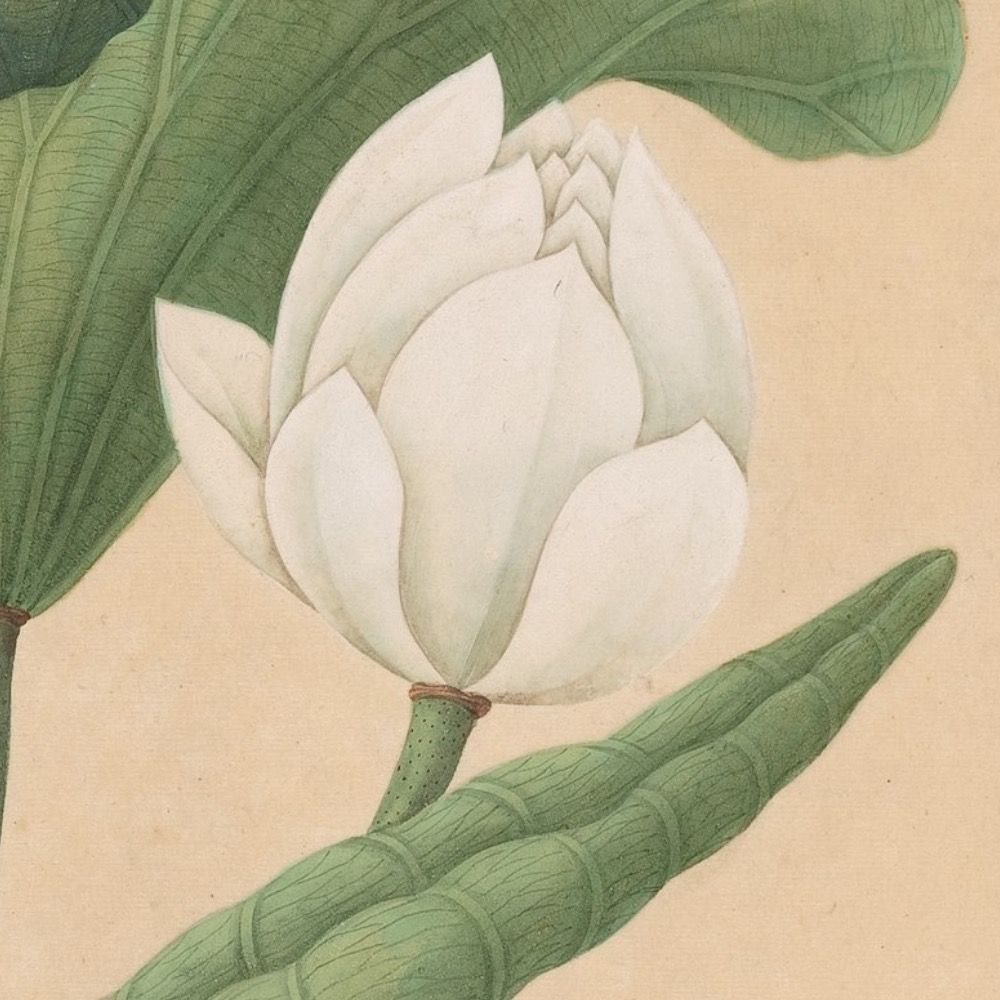 Faust (Jigme Chöying)